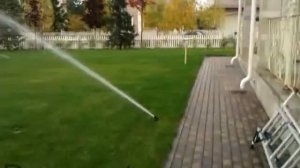 Полив газона 2