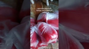 Заготовка фаршированных перцев на зиму. Замораживаем фаршированные перцы.