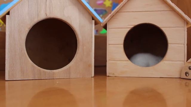 Домик для хомяка. Какой выбрать? (ЧАСТЬ 1) смотреть онлайн