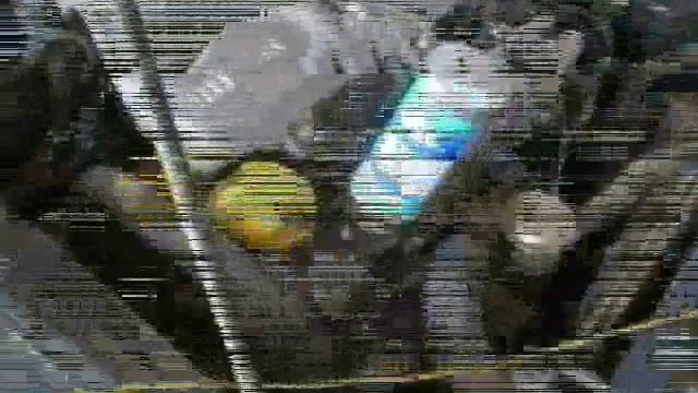 Экономичный (Säästu) ремонт по Технологии ECO-T смотреть онлайн