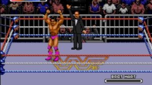 WWF Rage in the Cage (Sega CD)