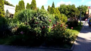 Геленджик в июне... пляж, набережная, воскресная ярмарка.