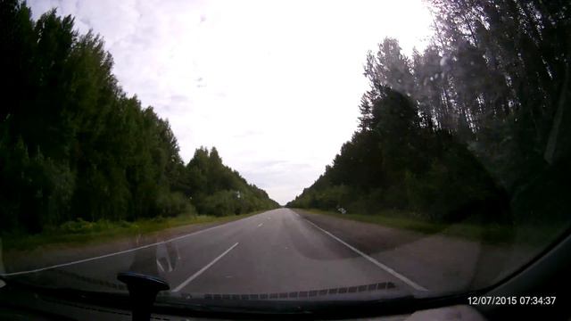 Лось чуть выбежал справа чуть не в машину пляж Лемью, 18 км от Сыктывкара смотреть онлайн