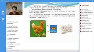 Трансфер факторы с заданной программой. ТФ трай фактор.