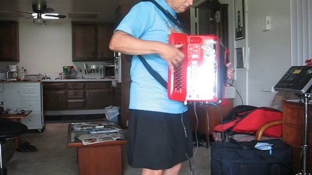 Roland FR18 Diatonic Accordion - Informal Fun смотреть онлайн