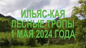 Лесные тропы 1.05.2024. Ильяс-Кая