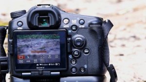 Review Sony A77II Deutsch / ILCA 77M2 Hands-On Teil 2