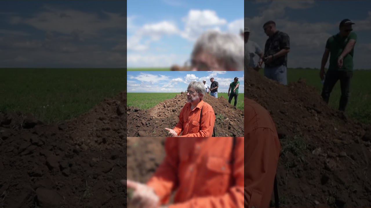 Почвенный разрез: что скрывается под посевом? #сельскоехозяйство #farming #почва #точноеземледелие