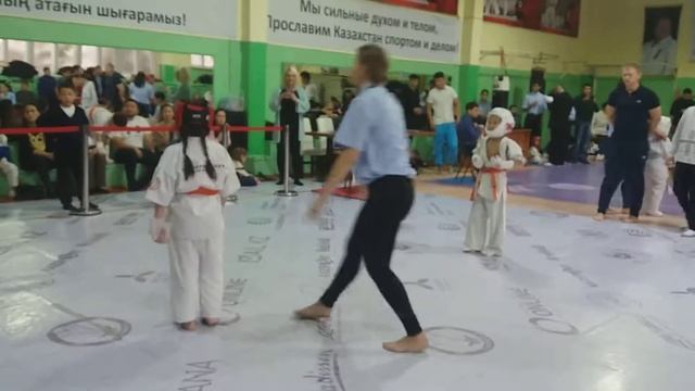Шинкиокушинкай каратэ!