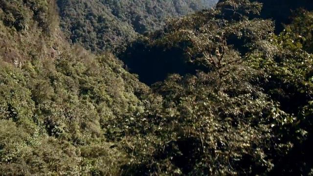 "Quito our Story" great video to Discover Quito, Ecuador смотреть онлайн