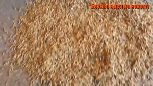 ТОП 20 станков для производства в гараже на 2021 год. Бизнес идеи в гараже 2021. Бизнес 2021