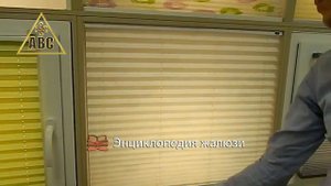 Жалюзи плиссе день ночь