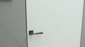 Обзор. Стеклянные скрытые двери SKY.