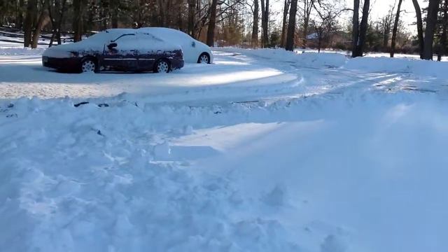 Petunia Loves the Snow смотреть онлайн