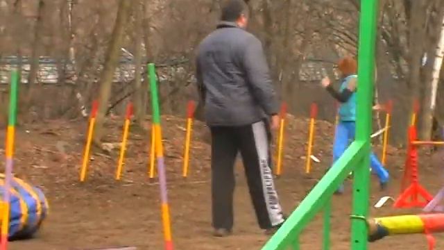 Аджилити далматин Бесси. НКП смотреть онлайн