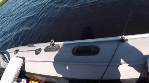 Сезон открытой воды. Ильмень 2023