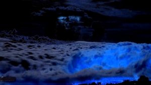 Павел Кашин - Чёрный Ящик