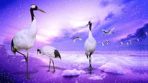 Музыка для души ??? Самая красивая и нежная мелодия???