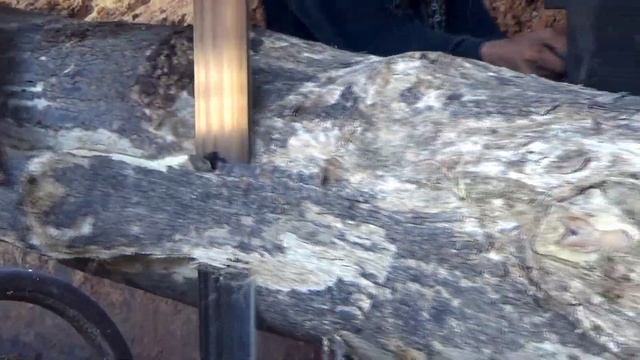 Takjub,melihat proses gergaji kayu besar panjang bahan pembuatan kapal nelayan seratnya istimewa смотреть онлайн
