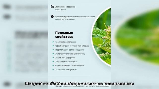 Сладкий «горький» перец? смотреть онлайн