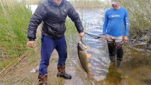 Ириклинское водохранилище. Сазан на джиг 9.3 кг. Июнь 2018 г.