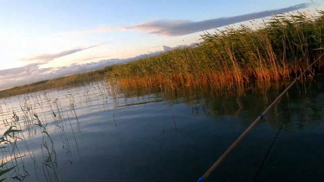 РЫБАЛКА НА ОЗЕРЕ ЧАНЫ ЧАСТЬ 2