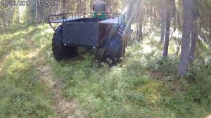 Вездеход вепрь-в1 разворот в лесу .