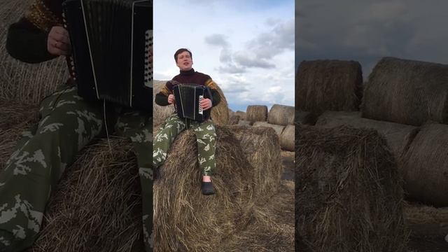 Романтичная песня под гармонь в исполнении Трошева Владимира