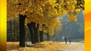 Осенний парк