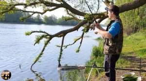 Лещ на фидер летом  Москва река  Рыбалка в Коломне 2