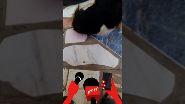 3 ноября 2018 г. смотреть онлайн