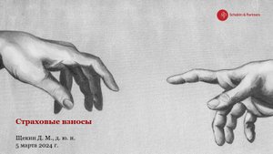 Щекин Д.М. • Лекция 14 • Страховые взносы