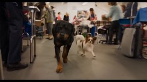 Псы под прикрытием  Второй дублированный трейлер HD.mp4