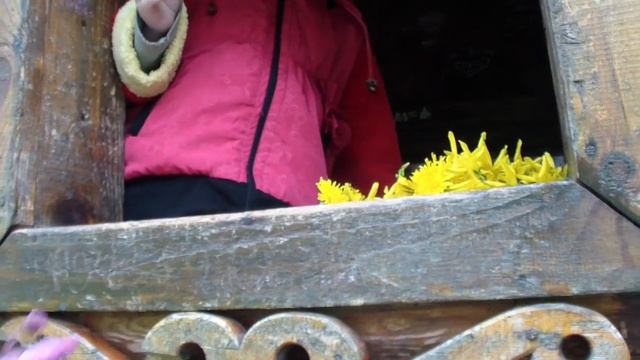 Анапа 22 апреля. Цветочные часы. Скейт-парк. ул. Ленина. смотреть онлайн