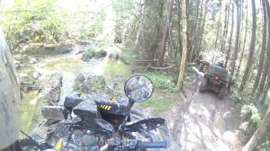 Покатушка на квадроциклах