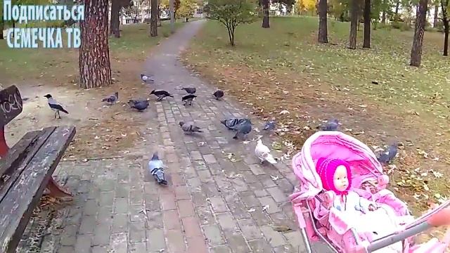 Лиана катает куклу в коляске, на качели, с горки, знакомит с друзьями в парке видео про пу смотреть онлайн