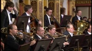 27.09.2011 Вена, Концертный зал Musikverein ( Часть 2 )