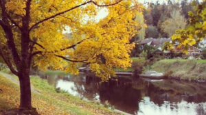 Федор Добронравов Там Где клён шумит