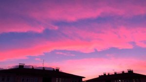 Rita Ora - Poison (Lyrics)