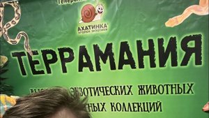 Террамания осень 2023!!!