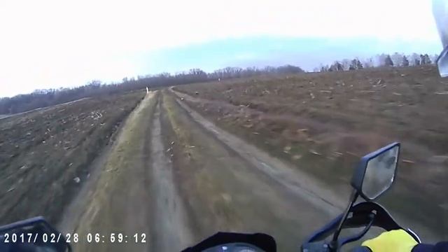 viper V250L Вечерняя ПОКАТУШКА смотреть онлайн