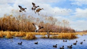 А утки: "кря-кря-кря", - кричали парню: "зря ты ходишь к этим берегам...."  Станислава Горбика...