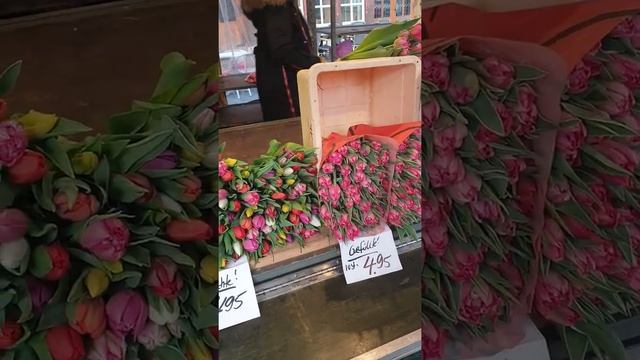 ВЕСЕННИЙ РЫНОК В ГЕРМАНИИ,,, БОМБИЧЕСКАЯ АРХИТЕКТУРА,,, ЦВЕТЫ ПОВСЮДУ ЦВЕТЫ смотреть онлайн