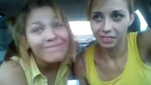 "Роза чайная")))