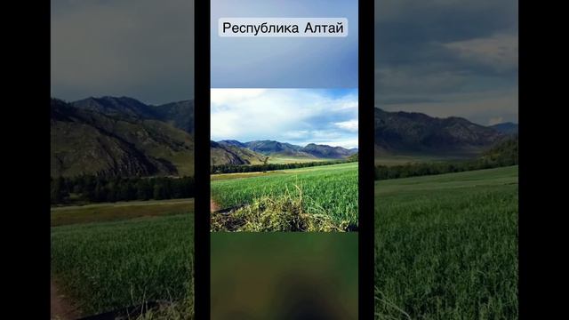 Республика Алтай безлюдный уголок… только горы и ты❤️ #Алтай #горныйалтай #отдых #отдыхнаалтае