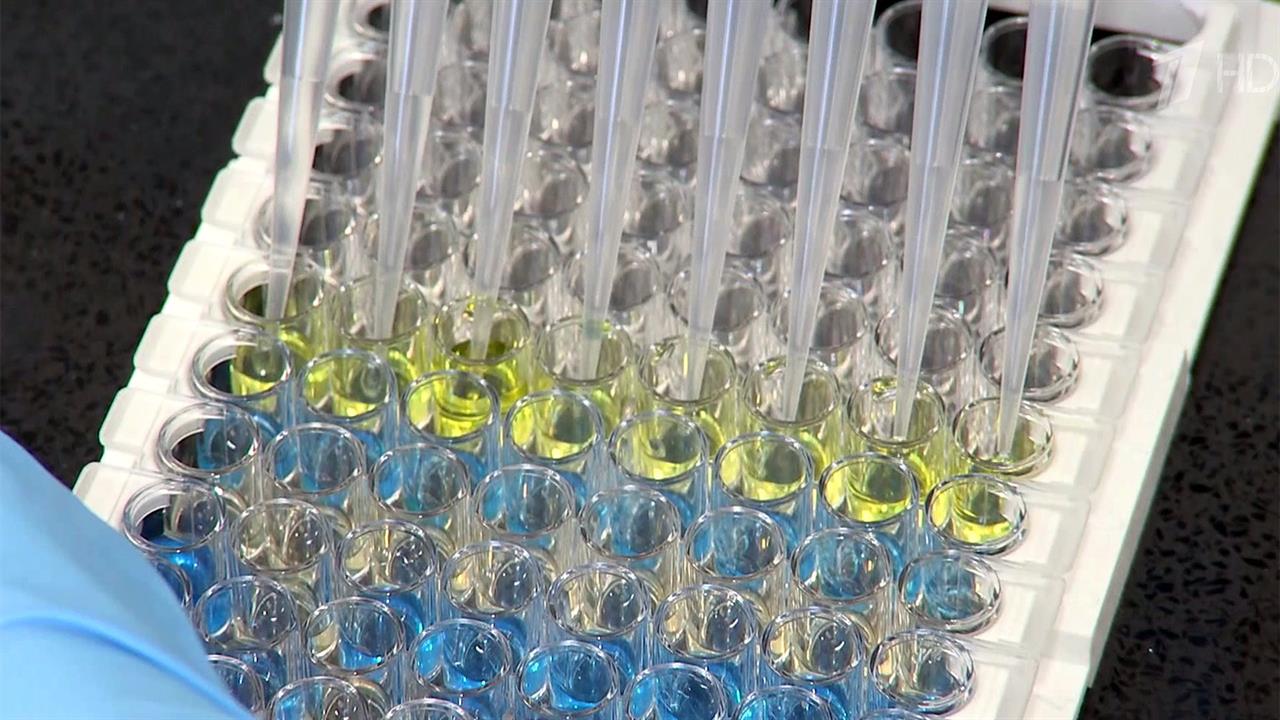 На юге России на одной из птицефабрик человек впервые заразился птичьим гриппом нового штамма