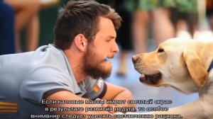 Белый кал у собаки: причины светлых какашек