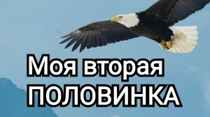 ❤️"МОЯ ВТОРАЯ ПОЛОВИНКА"❤️ | Игорь КОСТРОВОЙ