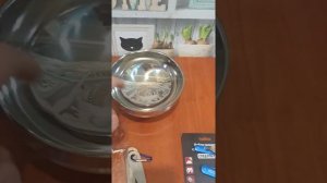 Наборы складных столовых приборов и термомиска от компании Следопыт. active-men.ru