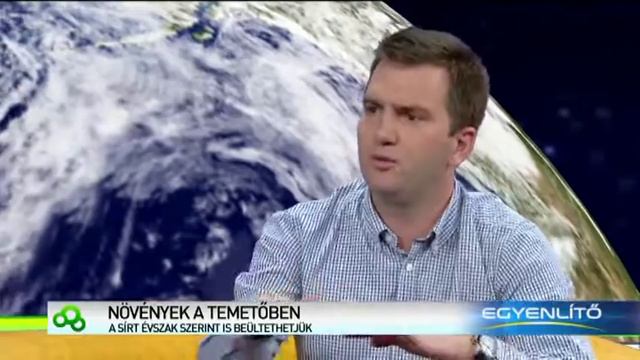 Sírra való virágok - Sírra ültethető virágok - Télen is virágzó növények смотреть онлайн